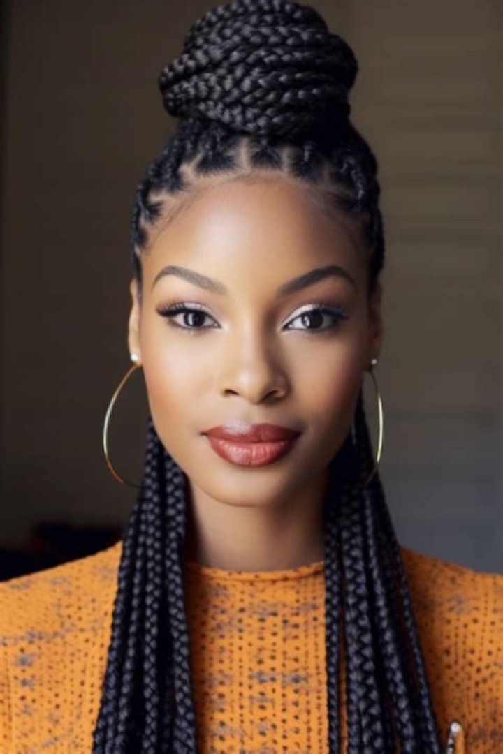 Masterful Medium Plaits Braids: A Comprehensive Guide