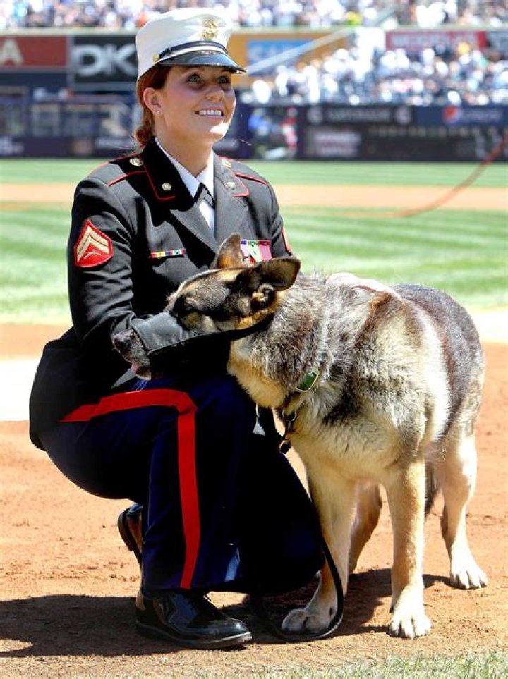 About Megan Leavey's Husband: A Marital Journey With Love And Sacrifice