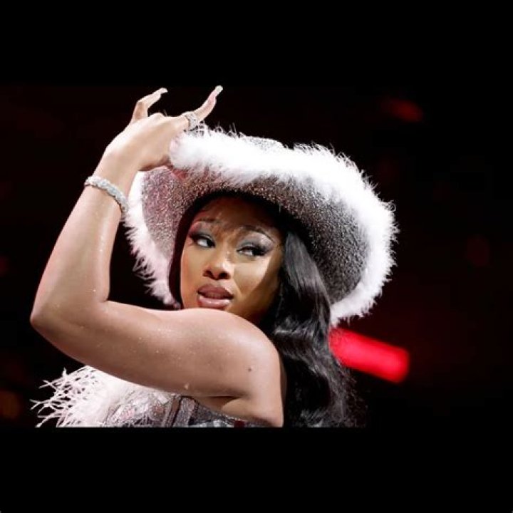 Unveiling Megan Thee Stallion's 2024 Net Worth: Insights And Surprises
