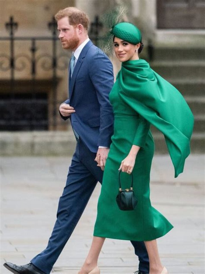 Surprising Discoveries And Enlightening Insights