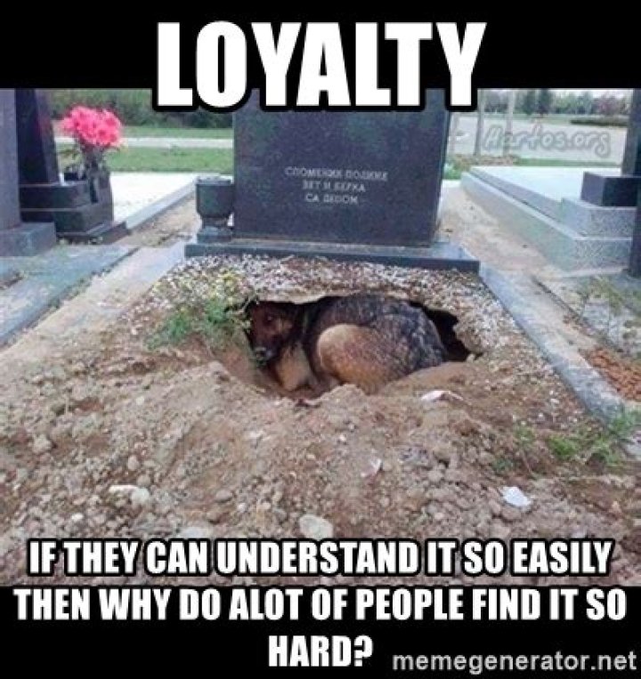 Unforgettable Loyalty Memes That Will Stick With You