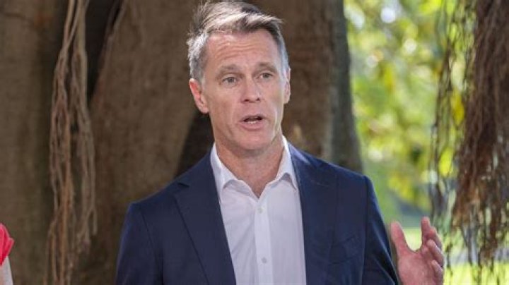 Beatrix Potter's Charming Creations