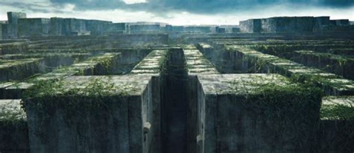 Enthralling Movies That Take You Through The Labyrinthine Maze