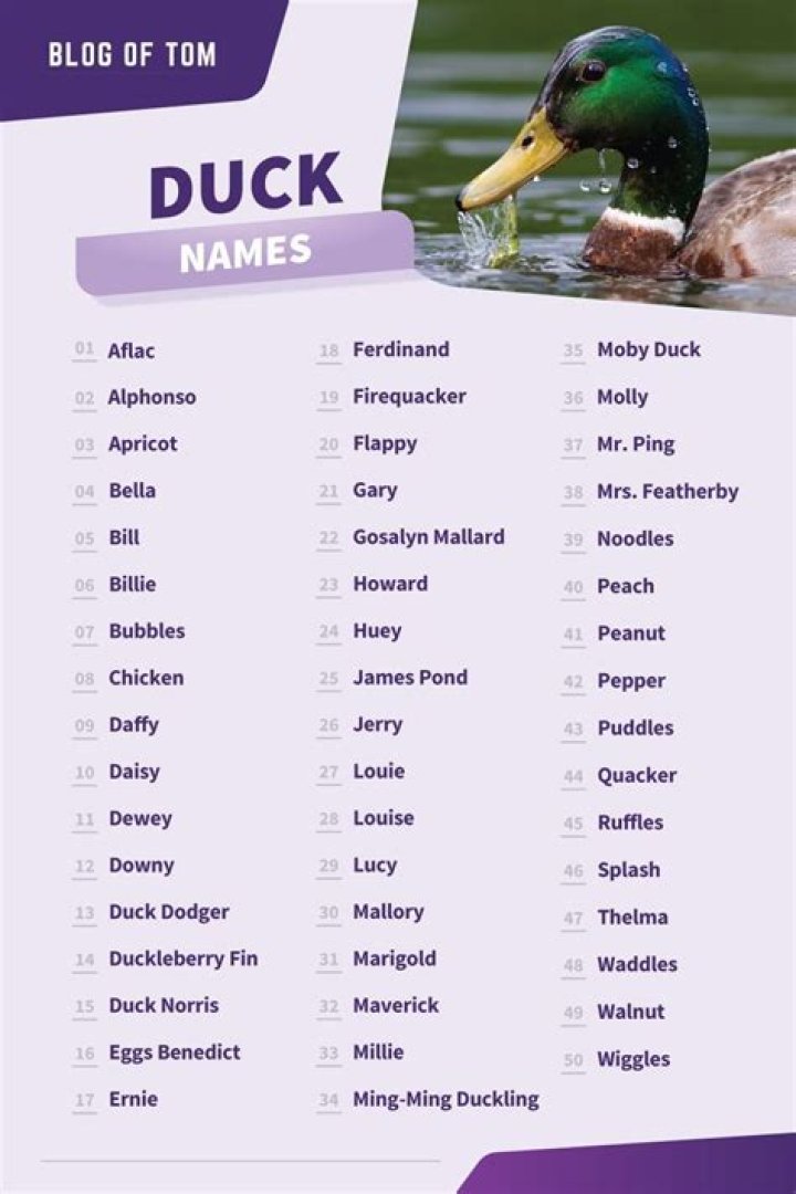 Discover Unique Names For Your Delightful Ducklings