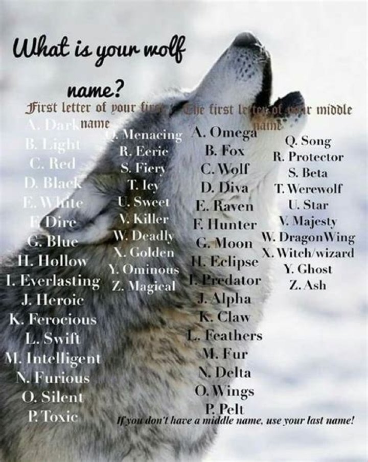 Enchanting Werewolf Names For The Alpha Males