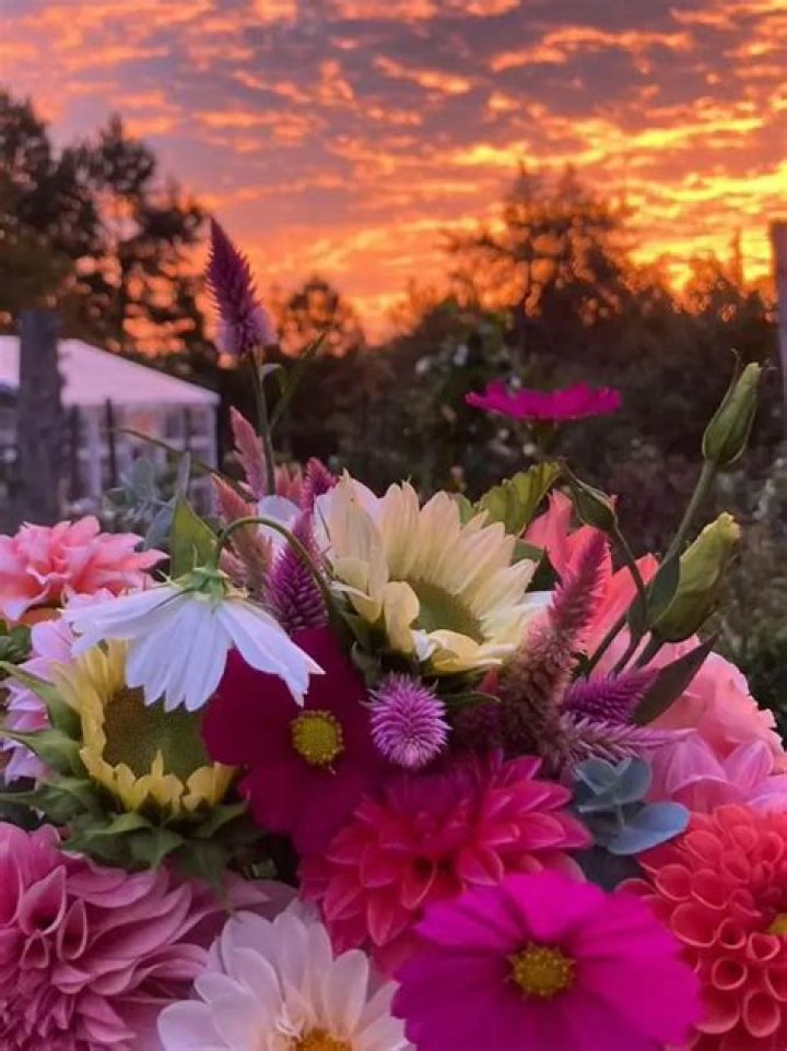 Find Your Perfect Match: National Girlfriend Day