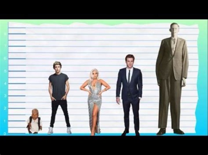 Uncover The Hidden Truth: Niall Horan's Height Revealed