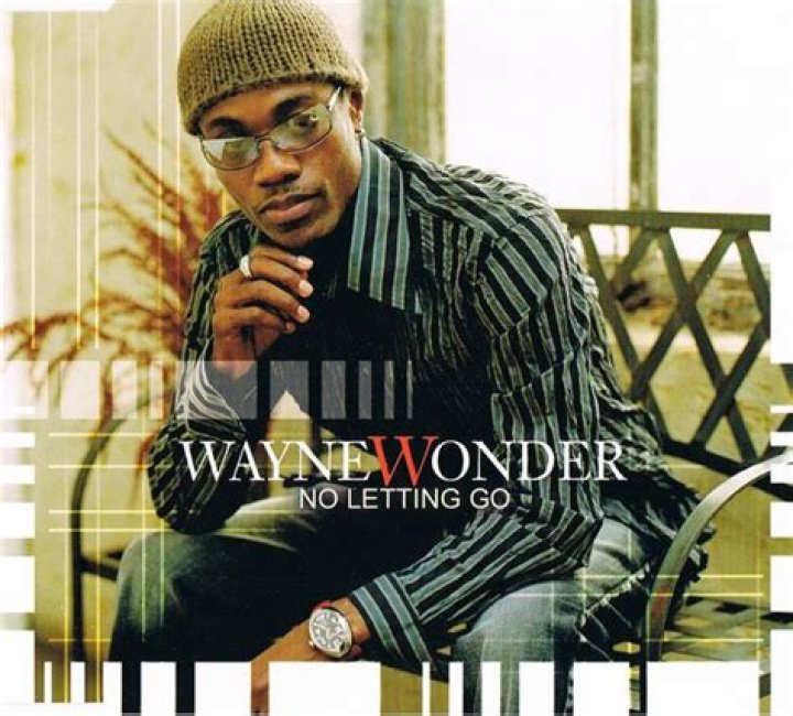 Immerse Yourself In Love With No Letting Go By Wayne Wonder