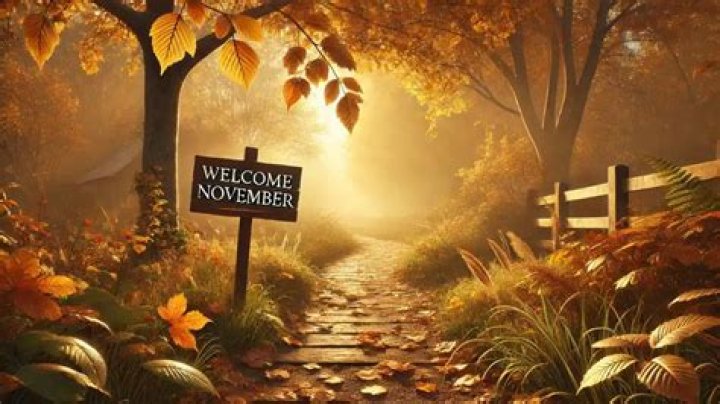Welcome To November: The Gateway To Winter Delights