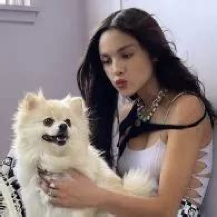 Olivia Rodrigo's Furry Friend: All About Her Beloved Dog