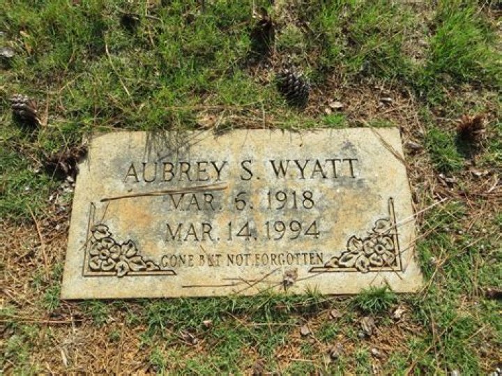 Pictures Of Aubrey Wyatt: Exclusive Images And Galleries