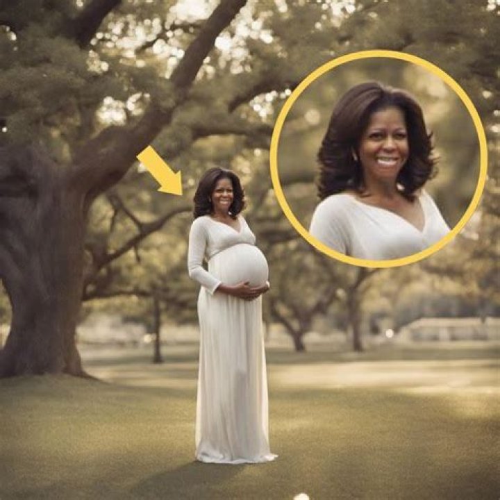 Pregnant Michelle Obama: Expecting A New Addition To The White House