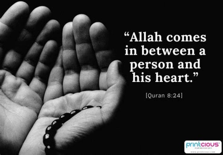 Inspiring Islamic Quotes: Wisdom And Guidance