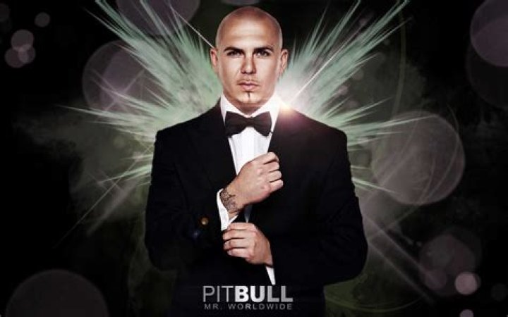 Pitbull: The Iconic Rap Artist