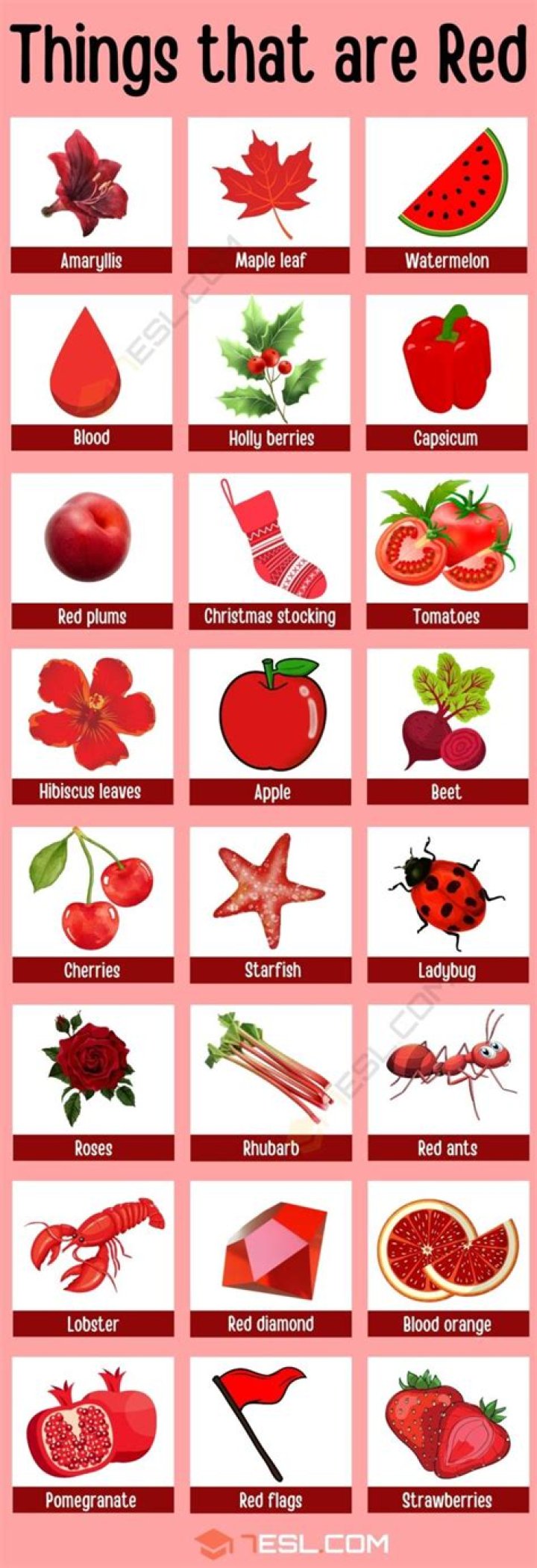 Unveiling The Vibrant World Of Red Things: An Exploration Of Crimson Delights