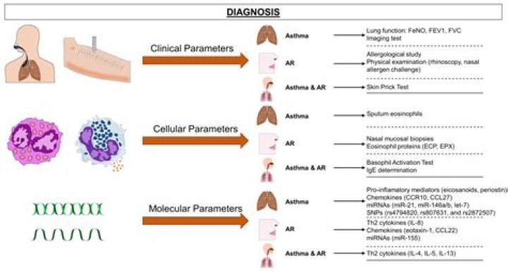 What You Need To Know About Ree Drummond's Diagnosis