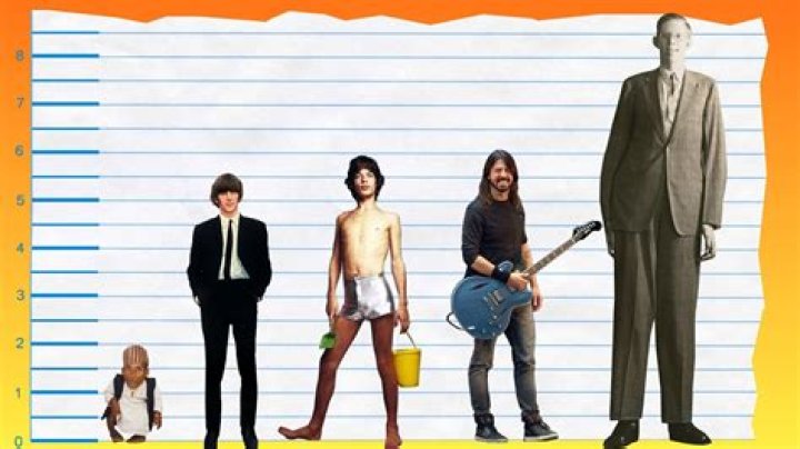 How Tall Is Ringo Starr: The Ultimate Guide To Ringo's Height