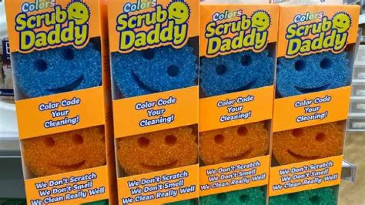 Scrub Daddy's Net Worth Trajectory In 2024