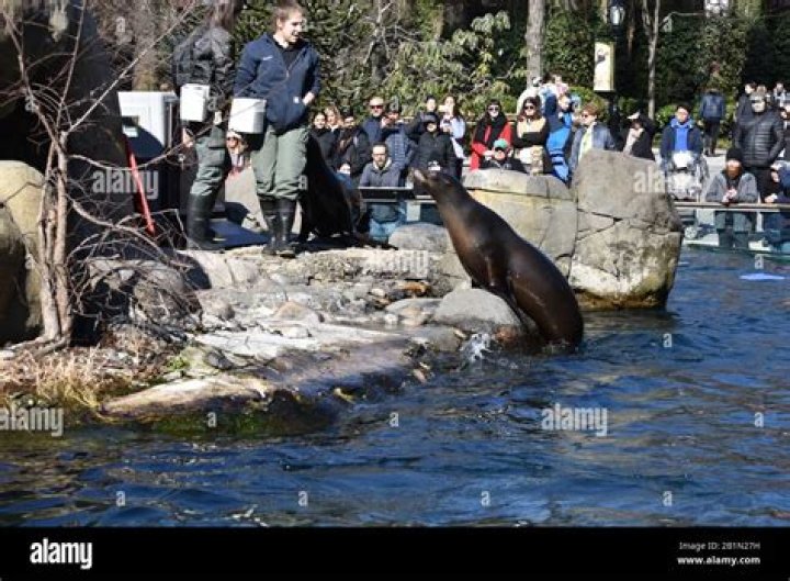 Discoveries Await At Central Park