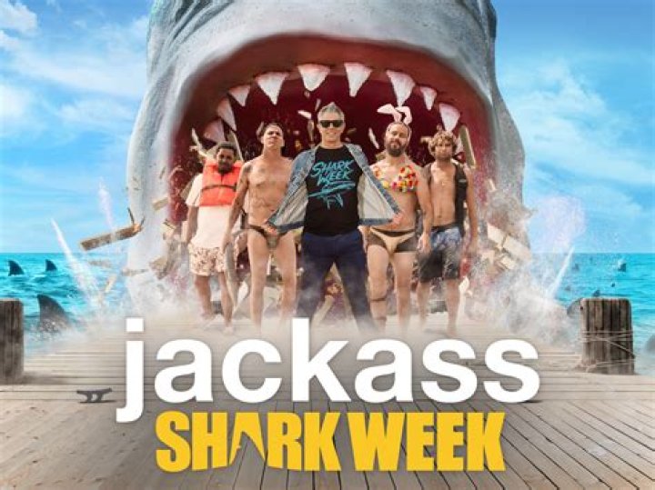 Outrageous Stunts And Daring Encounters: Ultimate Shark Week Jackass Extravaganza