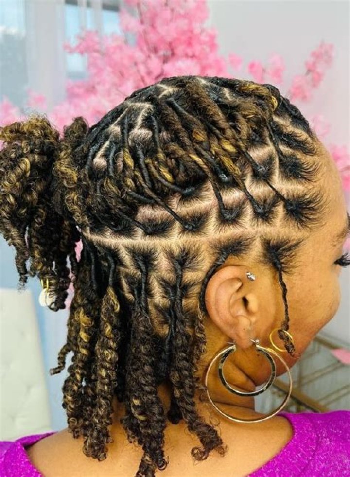 Perfect Starter Locs Styles: A Detailed Guide For Beginners