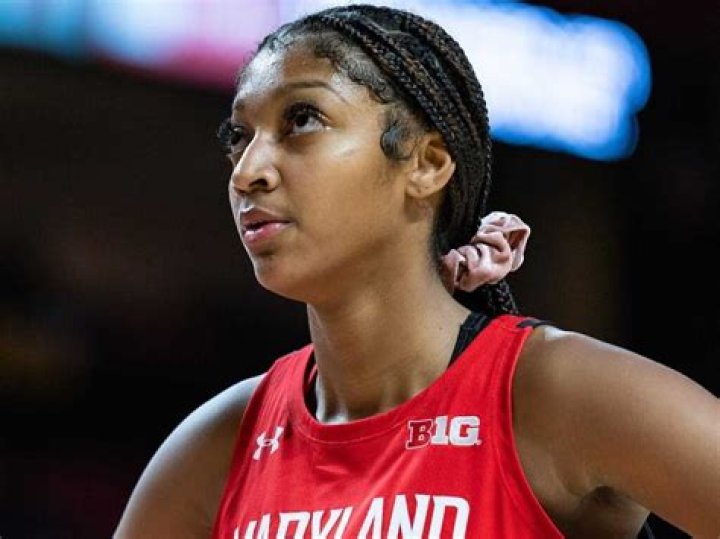 Sting's Staggering Net Worth In 2024