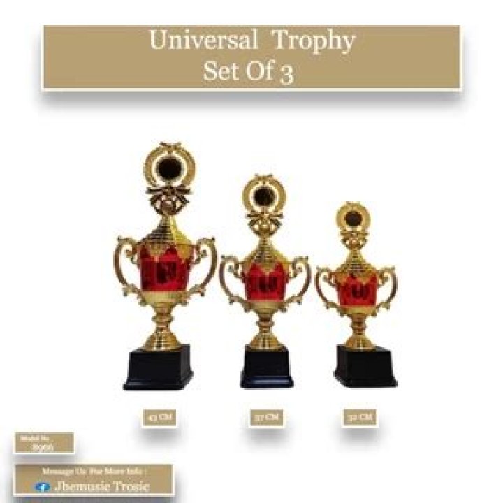 Money-Making Trophies: Discover The Value Hidden In Your Awards