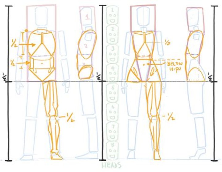 Unlock The Perfect Figure: The Ultimate Guide To Tyler Proportions