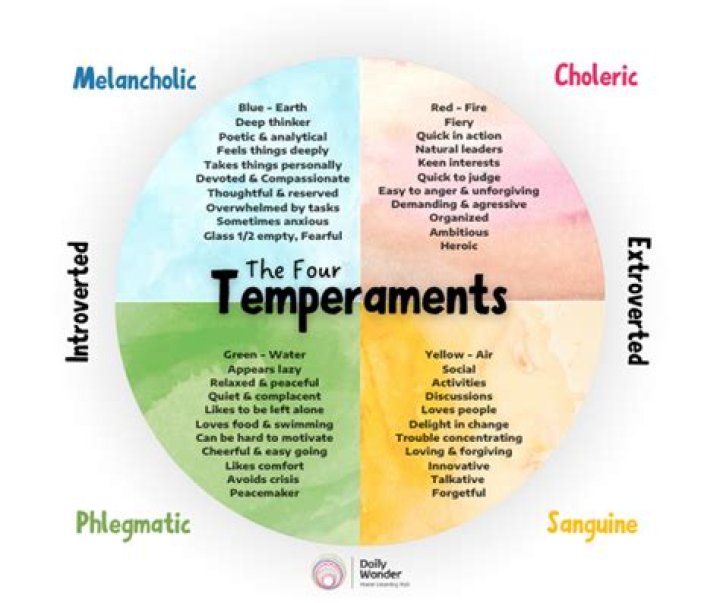 Discover The Spectrum Of Temperaments: Understanding Individual Differences