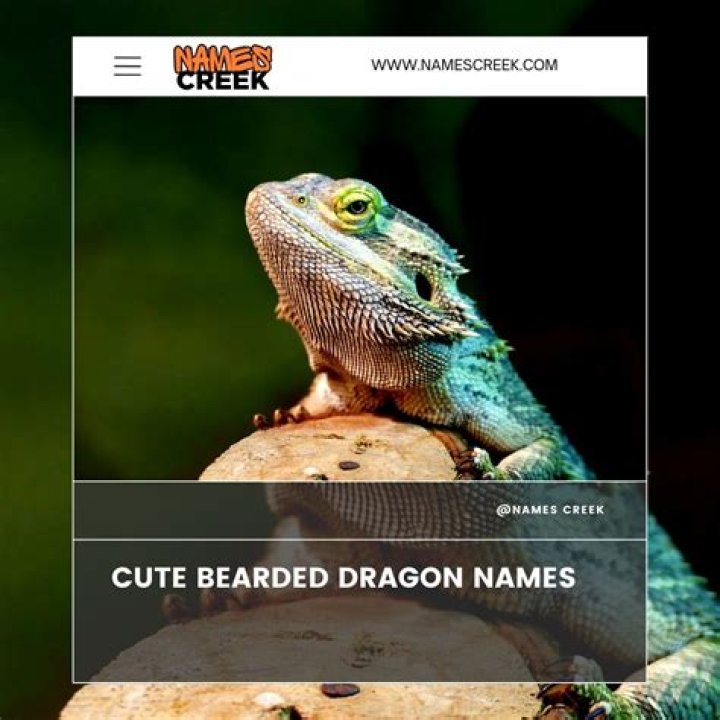 Unleash The Ultimate Guide To Unique Bearded Dragon Names For Your Male Companion