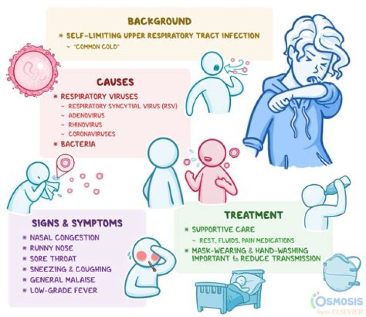 What's The Chemistry Of Love: The Science Behind Our Cupid's Arrow