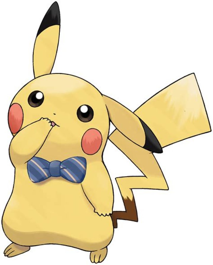 What Does A Pikachu Look Like? | All About Pikachu's Appearance