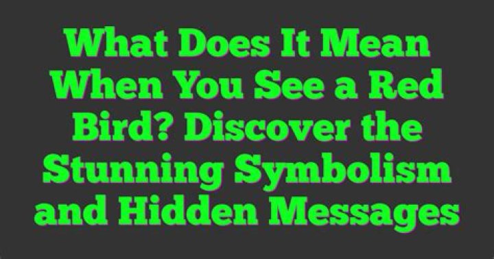 What It Means Spiritually When You See A Red Bird