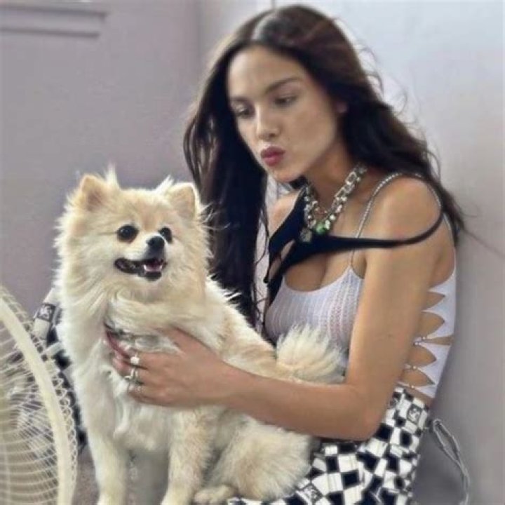 What's Olivia Rodrigo's Spirit Animal? Find Out Here!