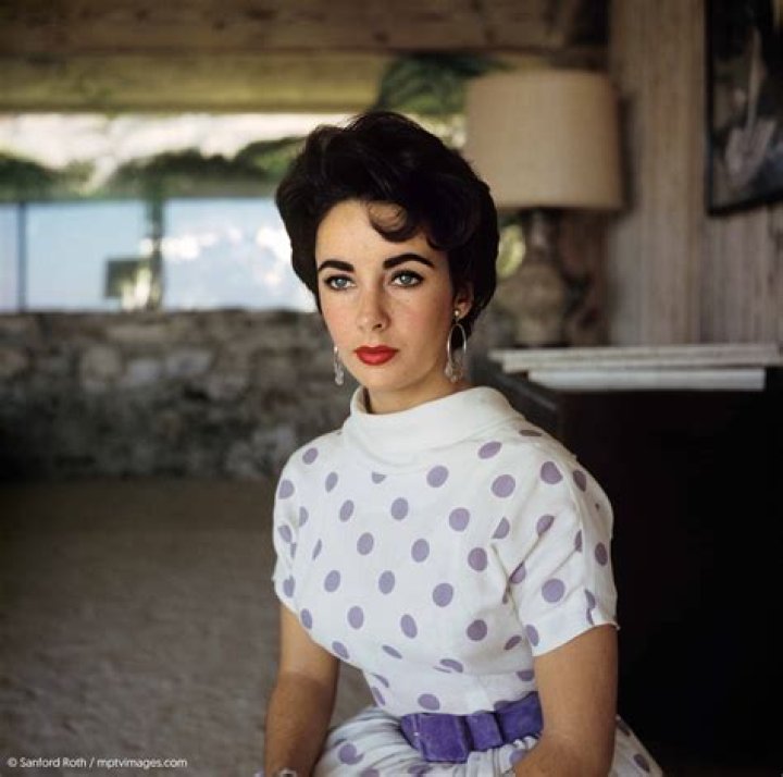Definitive Year: Uncovering Elizabeth Taylor's Legacy
