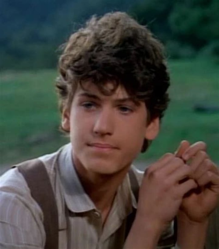 The Pestering Presence Of Willie Oleson In 'Little House On The Prairie'