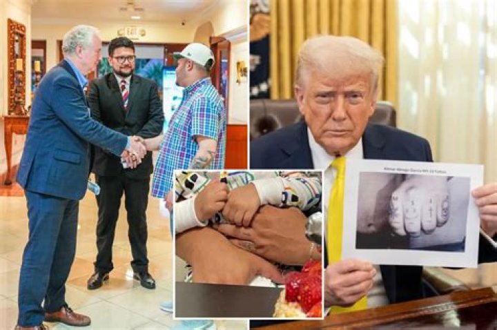 Help Wyatt Alone: Your Support Could Save His Life