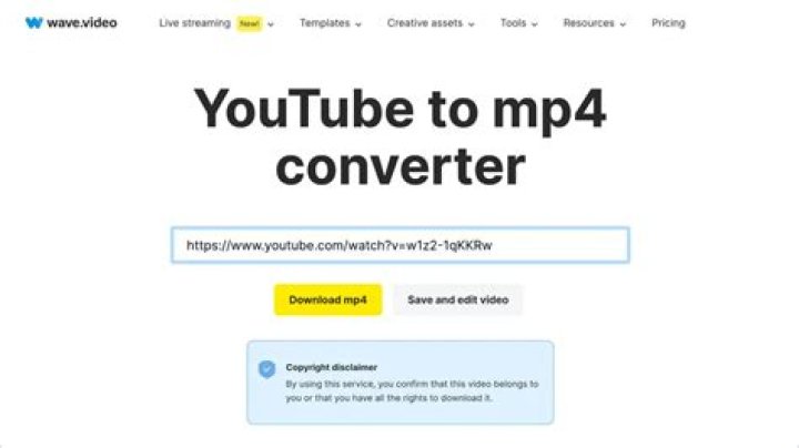 The Ultimate YouTube To MP4 Converter: Discover --yt1
